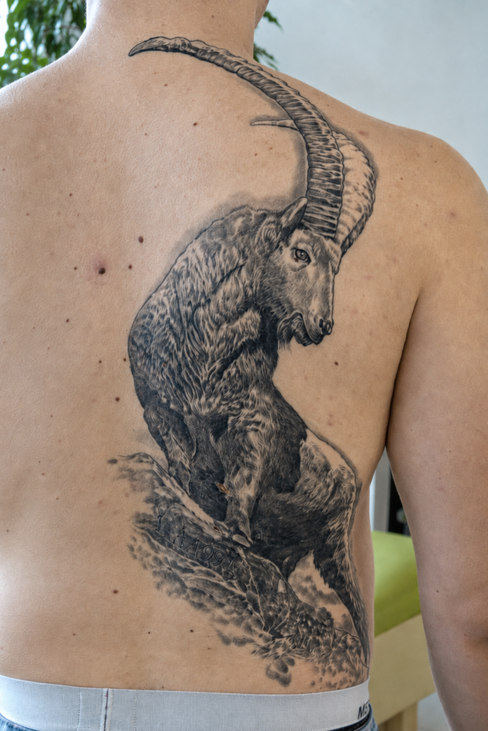 Pineapple Tattoo Studio Maribor 1